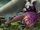 Unsere Top Favoriten - Wählen Sie hier die Drachen von drachenzähmen leicht gemacht entsprechend Ihrer Wünsche