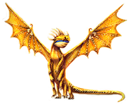 Alle Buch eragon im Blick