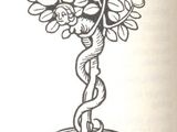 Haselwurm