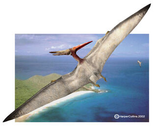 Pteranodon