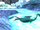 Flutsegler im Wasser.png