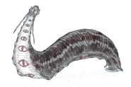 Der Blutegeldrache von Tlanusi'yï