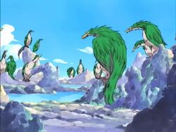 Milleniumsdrachen One Piece