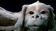 Falkor-the-luckdragon-from-the-neverending.jpg (98 KB) Fuchur aus "Die unendliche Geschichte" (1984)