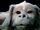 Falkor-the-luckdragon-from-the-neverending.jpg