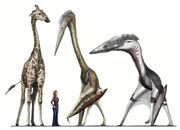 Pterosaur scale2