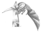 PolychromaticDragon