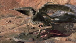 Fortpflanzung Und Wachstum Galerie Jungtiere Drachen Wiki Fandom