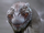Jörmungandr God of War.png