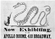 Werbe-Flyer für Kochs Ausstellung in New York, 1845