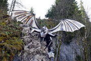 Drache Schwarzsee Walter Feyer