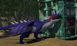 Trampler blau 2.png