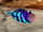 Flame Whipper abgeworfener Schwanz.png