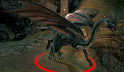 Mature Dragon