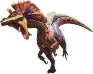 Ein erwachsener männlicher Jaggi, Großjaggi genannt