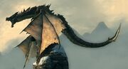 SchwarzerDrache Skyrim