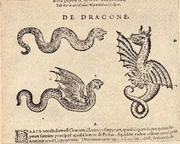 Gessners Schlangenbuch-Drache