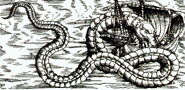 Olaus Magnus' Soe Orm