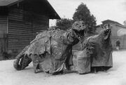 Drachenfamilie1913