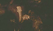 Scylla