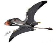 Dimorphodon weintraubi by ladalbarran2000 de94tlo