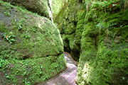 Drachenschlucht Eisenach