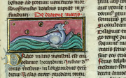 De Dracone maris Liber-de-natura-rerum