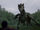Kilgharrah&Merlin.jpg