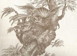 Fortpflanzung Und Wachstum Galerie Jungtiere Drachen Wiki Fandom