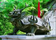 Drachenschildkröte