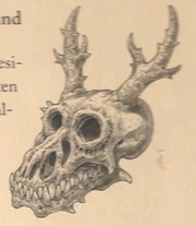 Schädel des Lung laut Dragonology