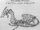 Dracunculus monoceros