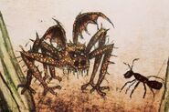 Buch eragon - Der TOP-Favorit