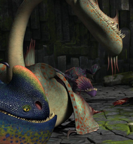 Regenschneider Drachen Wiki Fandom