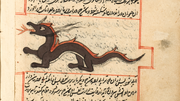 Drache Islam