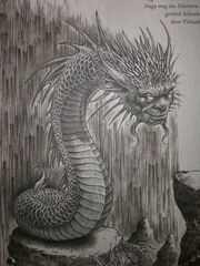 Naga Dragonology