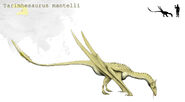 Tarimhesaurus by hyrotrioskjan