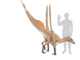 Indoraptor navigare