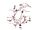Dragon Phylogeny.jpg
