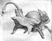 Der Basilisk von Ludovico Moscardo, 1656