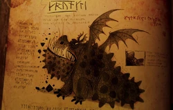 Gronckel Buch der Drachen