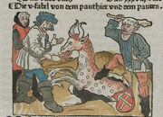 Steinhowel Panthier