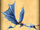 Flutsegler Kampfdrache.png