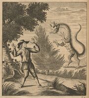 Scheuchzer Drache X