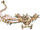 Luftflugdrache Seetal.jpg