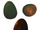 Feuerschweif Eier - NBG.png