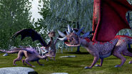 Alle Buch eragon im Blick