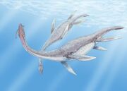 Plesiosaurus 3DB-1-