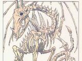 Dracolich (Dungeons & Dragons)