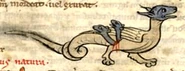 Eine Viper aus einem Bestiarium, 13. Jahrhundert